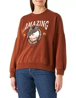 Bluzy damskie - ONLY Damska bluza ONLLUCINDA L/S Eagle FOIL Box SWT, smoked paprika/nadruk: Amazing, M, Smoked Paprika/Print:amazing - miniaturka - grafika 1