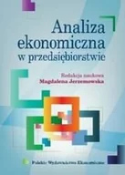 Ekonomia - Analiza ekonomiczna w przedsiębiorstwie - miniaturka - grafika 1
