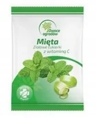 Suplementy diety - Owoce ogrodów ziołowe cukierki mięta 60 g - miniaturka - grafika 1