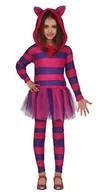 Stroje karnawałowe - STRÓJ KOT W PASKI-128 - miniaturka - grafika 1