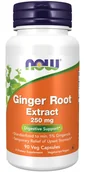 Suplementy naturalne - Now Foods, Ginger Root Extract Wyciąg z imbiru - miniaturka - grafika 1