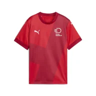 Odzież sportowa dziecięca - Młodzieżowa koszulka domowa duńskiej reprezentacji w piłce ręcznej 24/25 PUMA - miniaturka - grafika 1