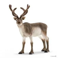 Figurki dla dzieci - Schleich Wild Life Renifer - miniaturka - grafika 1