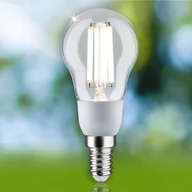 Żarówki LED - Paulmann Eco-Line kropla LED E14 525lm 4000 K - miniaturka - grafika 1