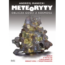 Meteoryty. Oblicza gości z kosmosu - Andrzej Manecki - Literatura popularno naukowa dla młodzieży - miniaturka - grafika 1