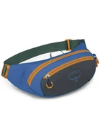 Nerki - Torba biodrowa Osprey Daylite Waist Pack Earth - dark charcoal / blue flame - miniaturka - grafika 1