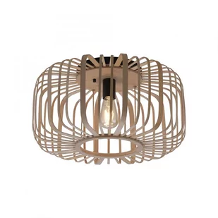 Lampa sufitowa RACOON 11413-79 Paul Neuhaus - Lampy sufitowe - miniaturka - grafika 1