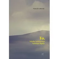 Felietony i reportaże - DodoEditor Tu. Sztuka i przestrzeń Górnego Śląska Wojciech Grabowski - miniaturka - grafika 1