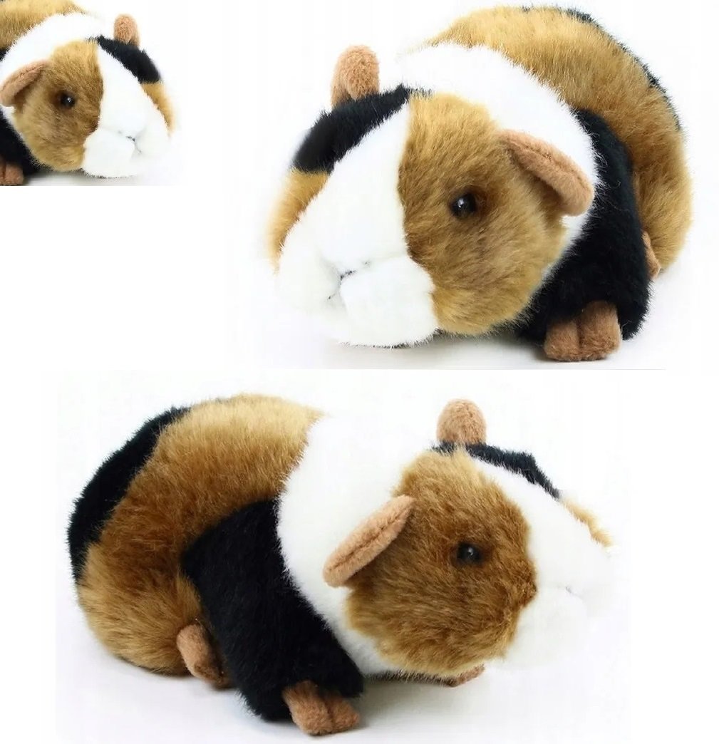 Urocza Świnka Morska Maskotka Pluszak Która Wygląda Jak Żywa dla 2 3 Latka