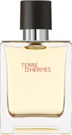 Wody i perfumy męskie - Woda toaletowa dla mężczyzn Hermes Terre D`Hermes Edt 50 ml (3346130009610) - miniaturka - grafika 1