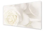 Dekoracje domu - Panel kuchenny HOMEPRINT Zbliżenie na białą różę 140x70 cm - miniaturka - grafika 1
