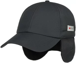 Czapka z Nausznikami 3M Thinsulate by Lipodo, ciemnoszary, M (57-58 cm) - Czapki i chusty sportowe męskie - miniaturka - grafika 1