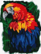 Malowanie po numerach - Malowanie po numerach - Jeden jedyny 30x40cm - Ideyka - miniaturka - grafika 1