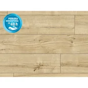 Panele podłogowe - Classen Panel podłogowy Dąb Cabrillo 8 mm AC 5 - miniaturka - grafika 1