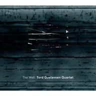 Jazz, Blues - The Well CD) Tord Gustavsen Quartet - miniaturka - grafika 1