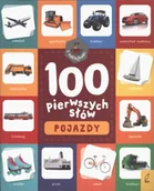 Kolorowanki, wyklejanki - Pojazdy. 100 pierwszych słów z naklejkami - Opracowanie zbiorowe - miniaturka - grafika 1