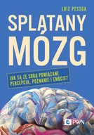 Psychologia - Splątany mózg - miniaturka - grafika 1