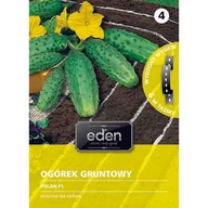 Nasiona i cebule - Ogórek gruntowy na taśmie Polan F1 6 m Eden - miniaturka - grafika 1