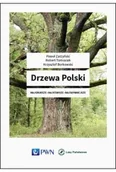 Książki medyczne - Drzewa Polski - miniaturka - grafika 1