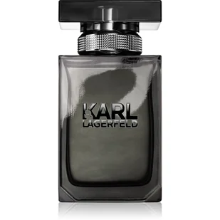 Karl Lagerfeld for Him Woda toaletowa 50ml - Wody i perfumy męskie - miniaturka - grafika 1