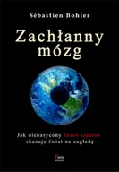 Felietony i reportaże - Zachłanny mózg - miniaturka - grafika 1