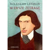 Lektury szkoły średnie - Wiersze zebrane. Bolesław Leśmian - miniaturka - grafika 1