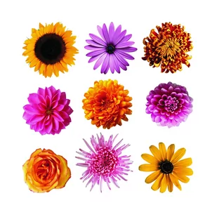 Dekoracja samoprzylepna Flowers, 30 x 30 cm - Naklejki na ścianę - miniaturka - grafika 1