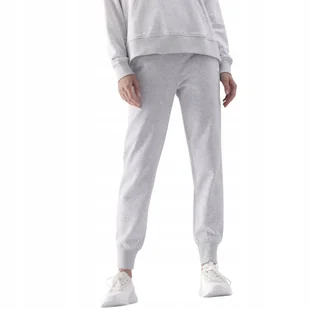 Spodnie damskie 4F F0946 chłodny jasny szary melanż 4FWMM00TTROF0946 27M XL - Dresy damskie - miniaturka - grafika 1