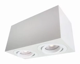 Light Prestige Lyon 2 oprawa natynkowa biała LP-5881/2SM WH - Oświetlenie warsztatowe - miniaturka - grafika 1