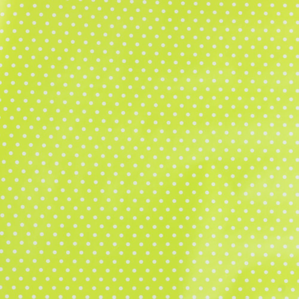 Fastima Papier do pakowania prezentów 57cmx10m NR21