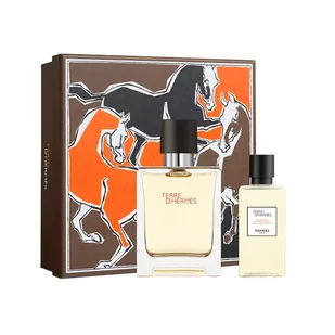 HERMS Terre d'Herm¨s Eau Intense Vtiver - Zestaw - Zestawy perfum damskich - miniaturka - grafika 2