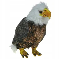 Maskotki i pluszaki - Pluszowe Zoo: Maskotka Orzeł 26cm (90152) - miniaturka - grafika 1