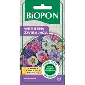 Nasiona i cebule - Werbena zwisająca mieszanka 0,1 g BIOPON - miniaturka - grafika 1