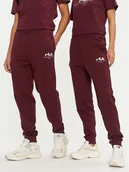 Spodnie sportowe męskie - Fila Spodnie dresowe Unisex Bovrup FAU0146 Bordowy Regular Fit - miniaturka - grafika 1