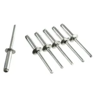 Nity - Topex Nity aluminiowe 4.8 x 18 mm 50 szt. 43E505 - miniaturka - grafika 1