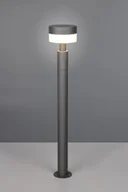 Lampy ogrodowe - Mackenzie H95 lampa stojąca ogrodowa 1xLED/8W/IP54 antracyt 430561142 - miniaturka - grafika 1
