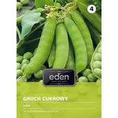 Nasiona i cebule - Groch cukrowy Cash 30 g Eden - miniaturka - grafika 1