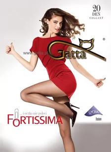 RAJSTOPY GATTA FORTISSIMA 20 (kolor grafit, rozmiar 2) - Rajstopy - miniaturka - grafika 1