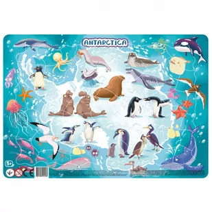Puzzle ramkowe Antarktyda 53 elementy - Puzzle - miniaturka - grafika 1