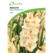 Nasiona i cebule - Mieczyk Ceme Perfection 10/12 5 szt. cebulki kwiatów Geolia - miniaturka - grafika 1