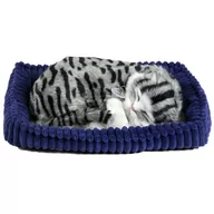 Maskotki i pluszaki - Perfect Petzzz Perfect petzzz kot Baby kotek kot Kitty atmend zwierząt domowych Gray kot pręgowany 92561 XP92-14 - miniaturka - grafika 1