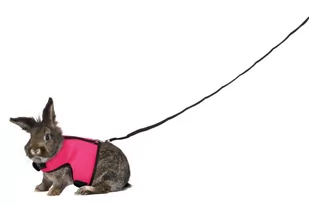 Trixie harnais Doux avec laisse pour Grand Lapin - Smycze dla psów - miniaturka - grafika 1