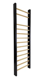 Drabinka gimnastyczna Leon 240 x 80 cm czarna - Wyposażenie sportowe i gimnastyczne - miniaturka - grafika 1