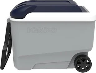 IGLOO Outdoorowa lodówka turystyczna Maxcold Ash Grey/Blue 38 litrów - Lodówki turystyczne - miniaturka - grafika 1