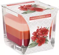 Świece - Świeca Zapachowa W Szkle Trójkolorowa Bispol 32H Hibiskus - Biała Szałwia - miniaturka - grafika 1