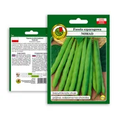 Nasiona i cebule - Fasola szparagowa 'NOMAD' odmiana późna Świeże Nasiona Naturalne 50g - miniaturka - grafika 1