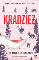 Literatura obyczajowa - Kradzież - miniaturka - grafika 1