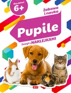 Książki edukacyjne - Zabawa i nauka Pupile Opracowanie Zbiorowe - miniaturka - grafika 1