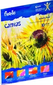 Masy plastyczne - Fiorello Płótno malarskie w bloku 12x16" Canvas - miniaturka - grafika 1