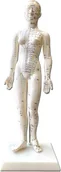 Meble i wyposażenie gabinetów medycznych - Model akupunkturowy człowieka - kobieta - model z zaznaczonymi punktami akupunktury - duży rozmiar (D027W) - miniaturka - grafika 1